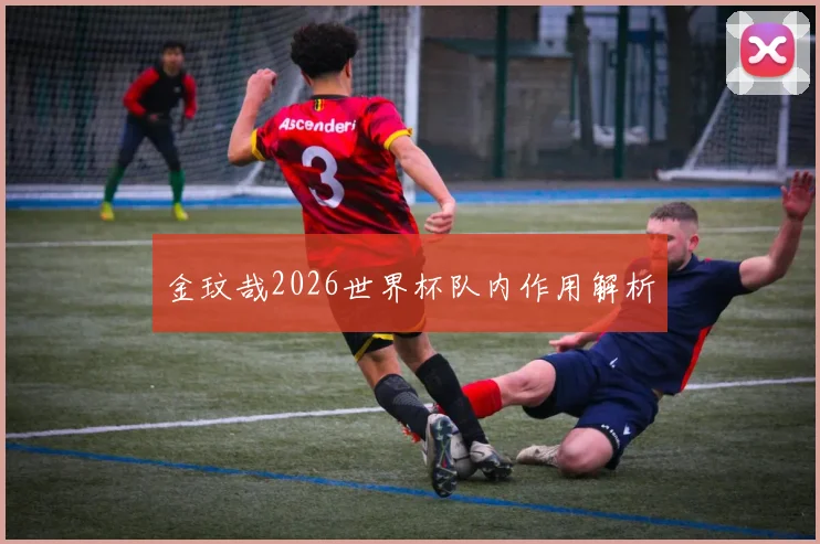 金玟哉2026世界杯队内作用解析