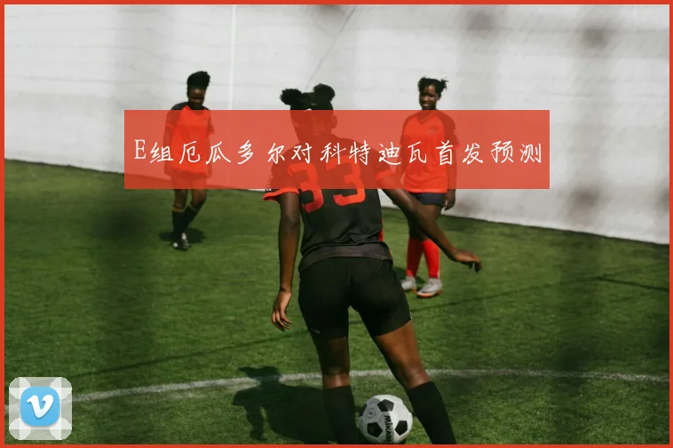 E组厄瓜多尔对科特迪瓦首发预测