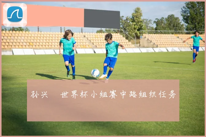 孙兴慜世界杯小组赛中路组织任务