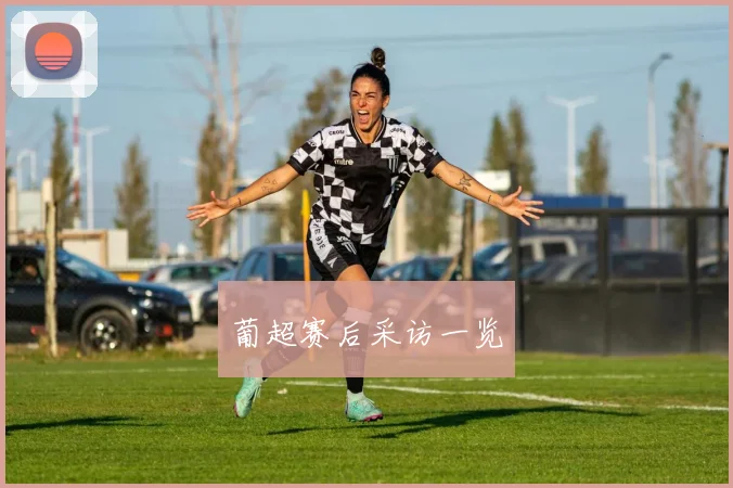 葡超赛后采访一览