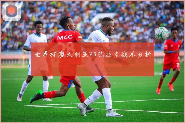 世界杯澳大利亚vs巴拉圭战术分析