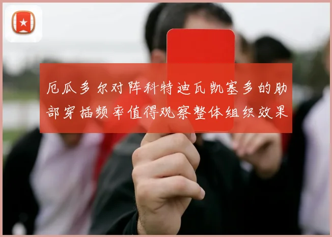 厄瓜多尔对阵科特迪瓦凯塞多的肋部穿插频率值得观察整体组织效果