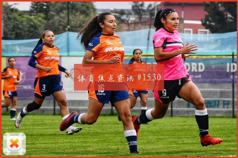 黄蜂阵容升级