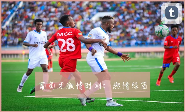 葡萄牙激情时刻：燃情绿茵