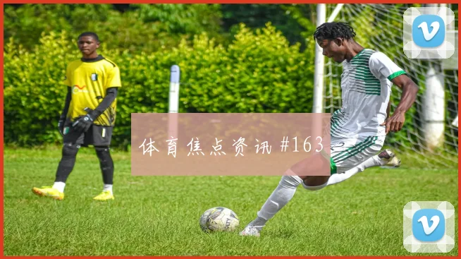 鹈鹕冠军之路