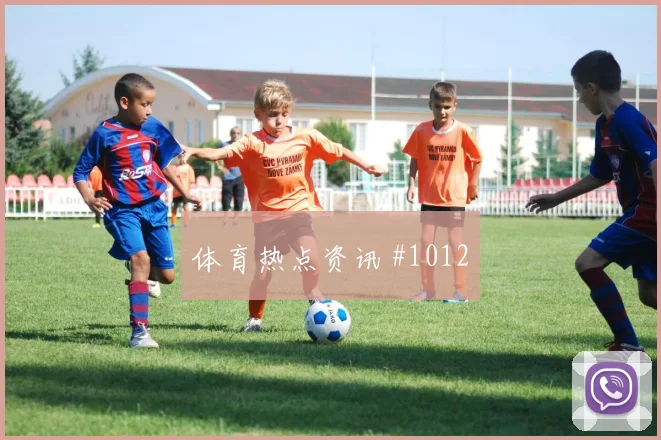 2026世界杯刚果金伤停风险分析