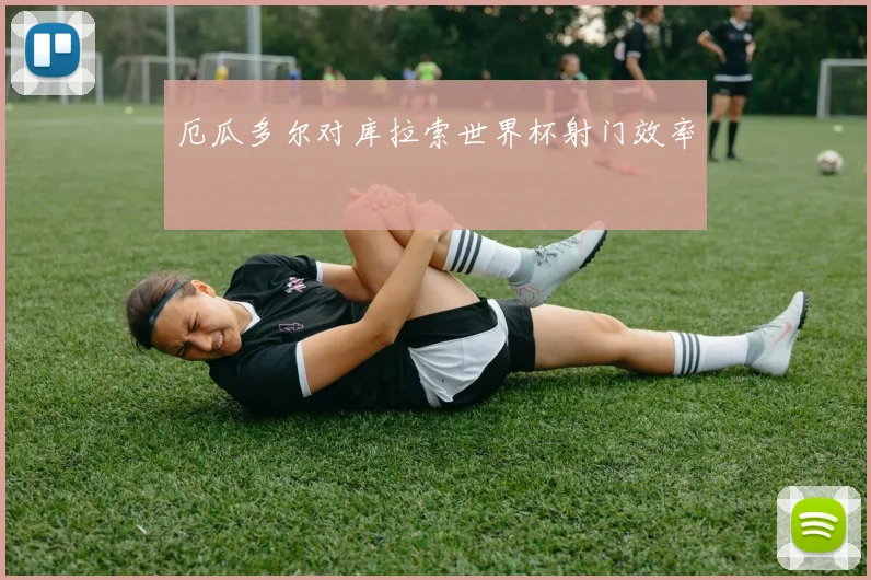 厄瓜多尔对库拉索世界杯射门效率