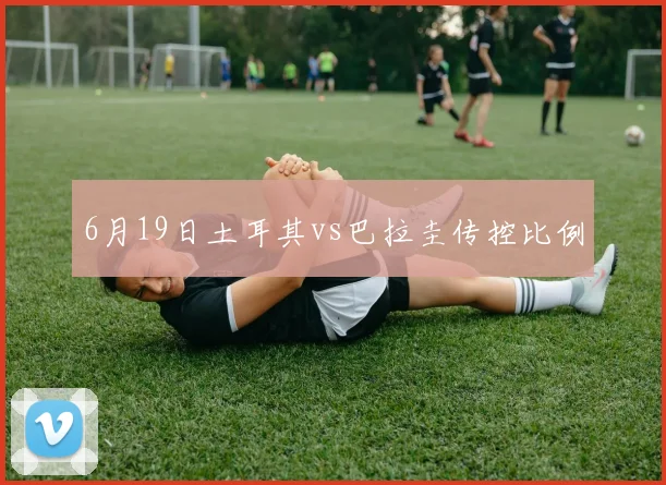 6月19日土耳其vs巴拉圭传控比例