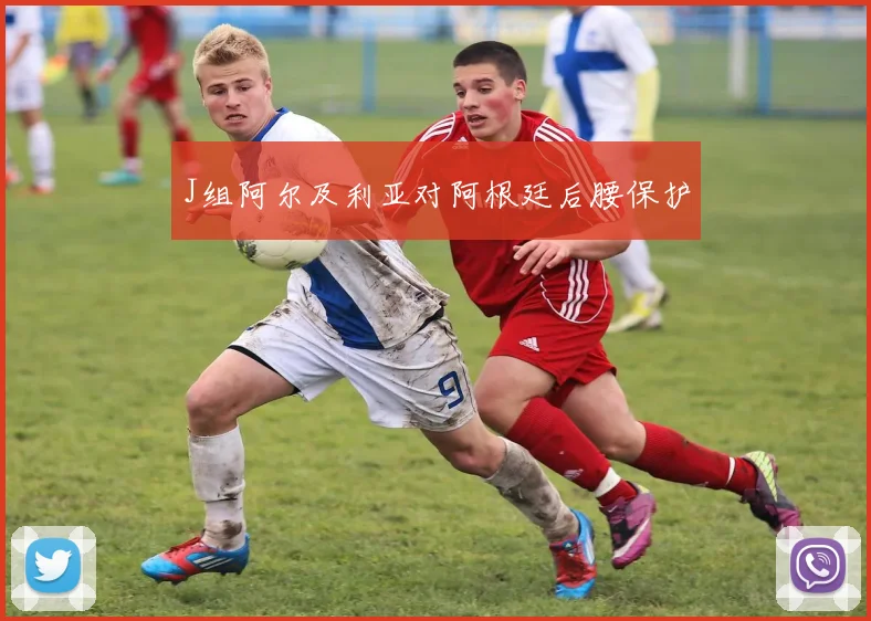 J组阿尔及利亚对阿根廷后腰保护
