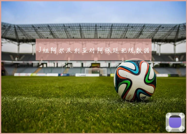 J组阿尔及利亚对阿根廷犯规数据